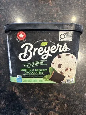 Mint Chocolate Chip Ice Cream