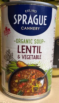 Organic Lentil Soup with Vegetables