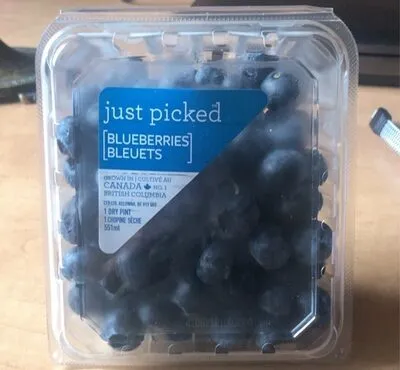 Just Picked Blueberries