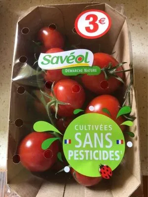 Tomate cocktail en grappe Savéol