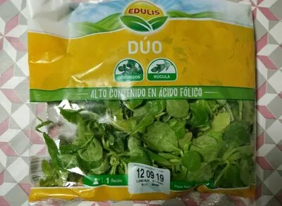 Dúo