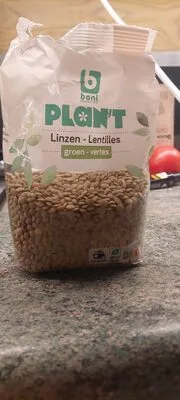 Lentille verte