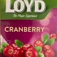 Loyd Tea (Filter/Bagged)