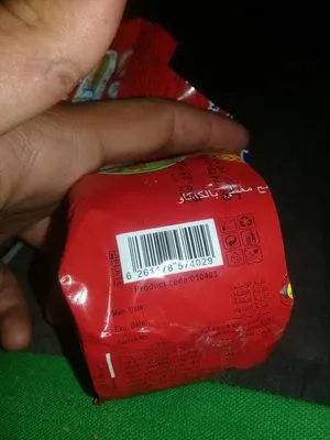 Panbak Digestive Chocolate Biscuit (بیسکویت دایجستیو پانبک آناتا)