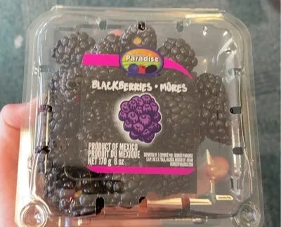 Berries Paradise Blackberries
