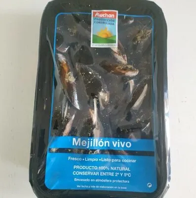 Mejillón Vivo