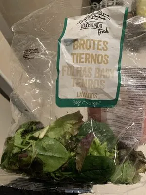 Brotes tiernos