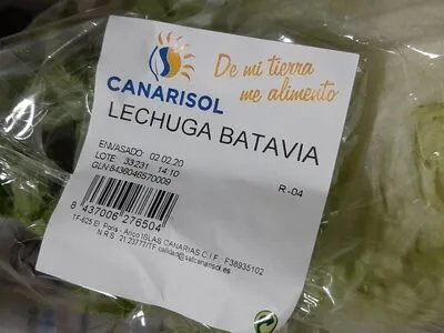 Lechuga Batavia