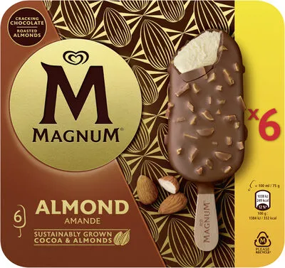 Magnum Double Chocolate Ice Cream Bar
